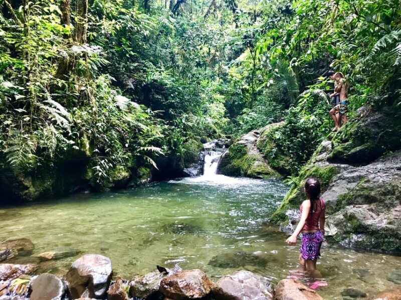 Santa Rita Waterfall and Salento Private Tour - Key Points