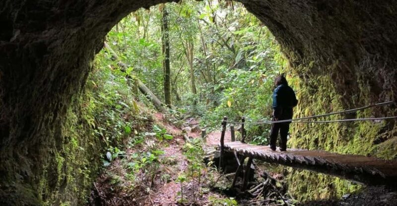 Santa Rita Waterfall and Salento Private Tour - Experience Highlights