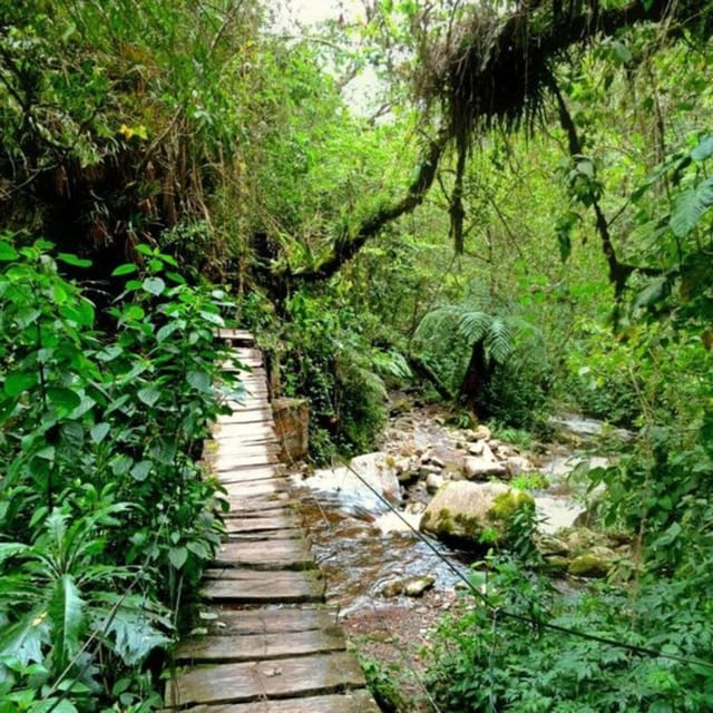 Santa Rita Waterfall and Salento Private Tour - Transportation Information