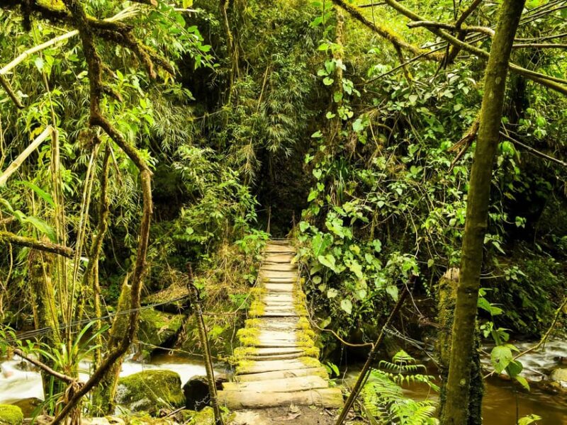 Santa Rita Waterfall and Salento Private Tour - Exploring Salentos Architecture