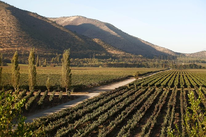 Santa Rita Winery Premium Tour - Winemaking Process