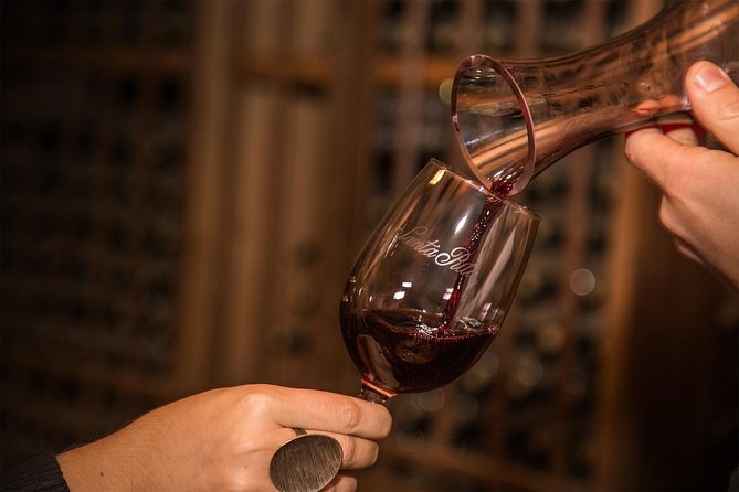 Santa Rita Winery Selection Tour - Winemaking Experience