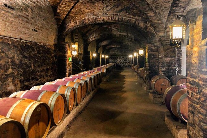 Santa Rita Winery Selection Tour - Premium Wine Tasting