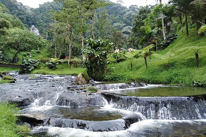 Santa Rosa De Cabal and Hot Springs Day Trip - Overview of the Day Trip