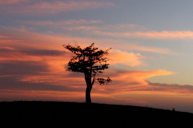 Santa Rosa National Park & Liberia City Tour Incl. Lunch - Cancellation Policy
