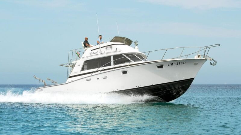 Santa Teresa: Speedboat Tour Around Lavezzi and Piana Island - Booking and Cancellation