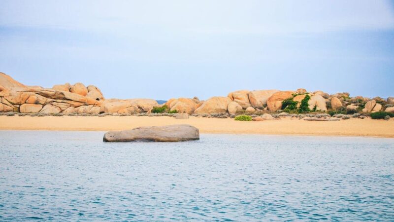 Santa Teresa: Speedboat Tour Around Lavezzi and Piana Island - Experience Highlights