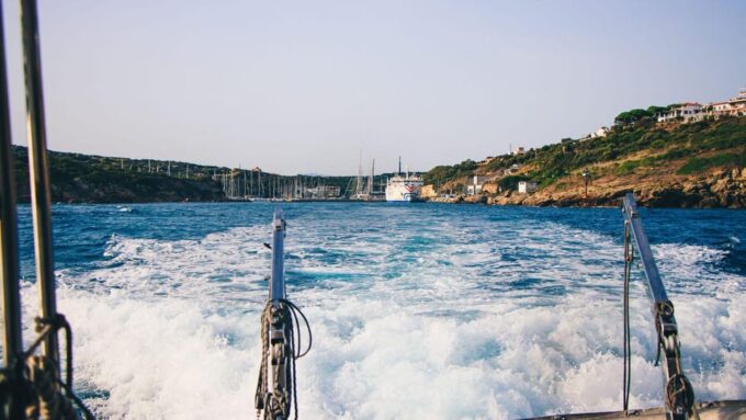 Santa Teresa: Speedboat Tour Around Lavezzi and Piana Island - Important Information