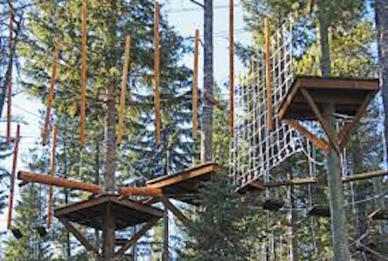 Santa Ynez Valley: Adventure Park Course - Explore the Adventure Park