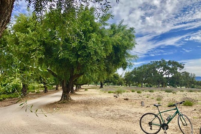 Santa Ynez Valley Biking and Wine Tasting Tour - Tour Size and Duration