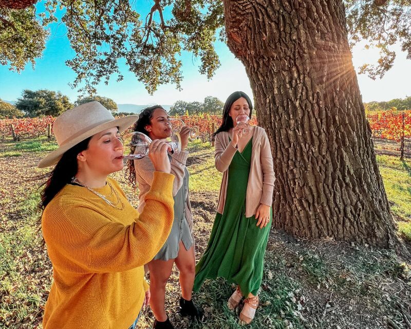 Santa Ynez: Wine Country Tour - Key Points