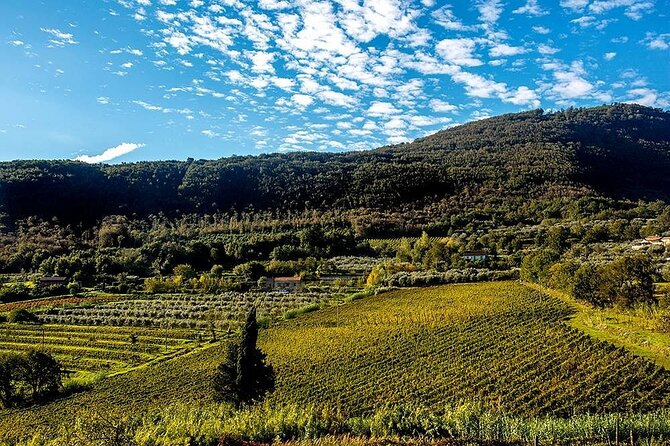 Santagata De Goti Wine Tasting and Cooking Class Experience - Key Points