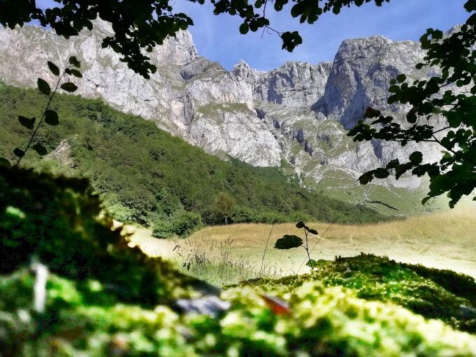 Santander: Picos, Santo Toribio Monastery and Potes Day Tour - Important Tour Information