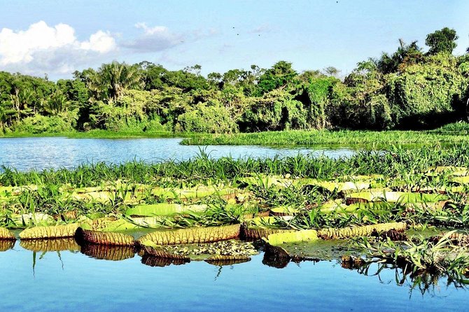 Santarém Maica Lake Tour - Meeting and Pickup