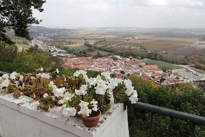 Santarem South: Holy Miracle, Pedro Alvares Cabral, Gothic, Gates of the Sun, Art - Visiting the Passos Canavarro Foundation