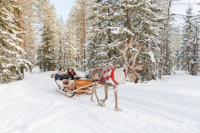 Santas Reindeer & Husky Safari + Santas Pets + Aurora BBQ! - Additional Information