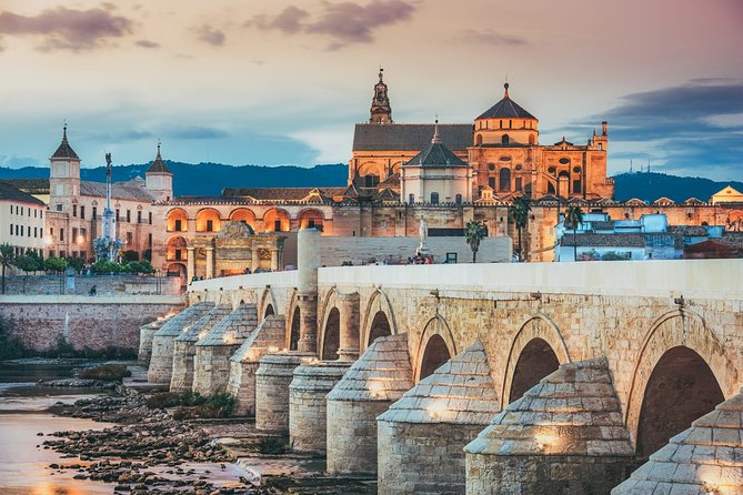 Santiago Airport Transfers: Santiago Airport SCL to Santiago in Luxury Van - Inclusions