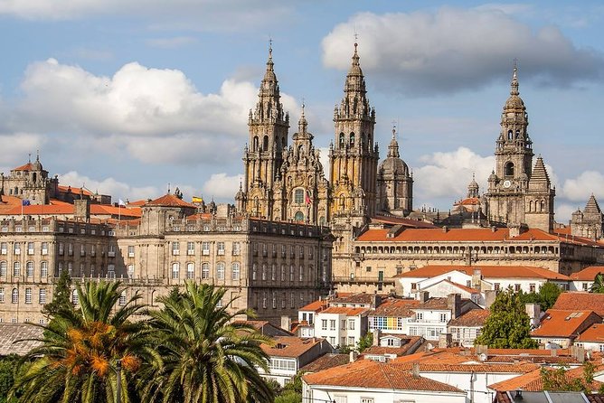 Santiago Airport Transfers: Santiago Airport SCL to Santiago in Luxury Van - Safety and Cleanliness