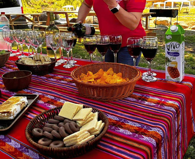 Santiago: Cajon Del Maipo & El Yeso Reservoir Trip With Picnic - Optional Stops