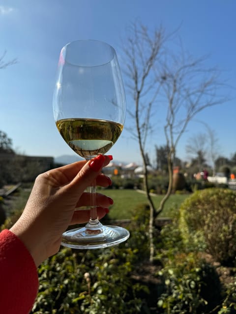 Santiago: Casa Del Bosque Winery With Tasting and Lunch - Highlights and Unique Features