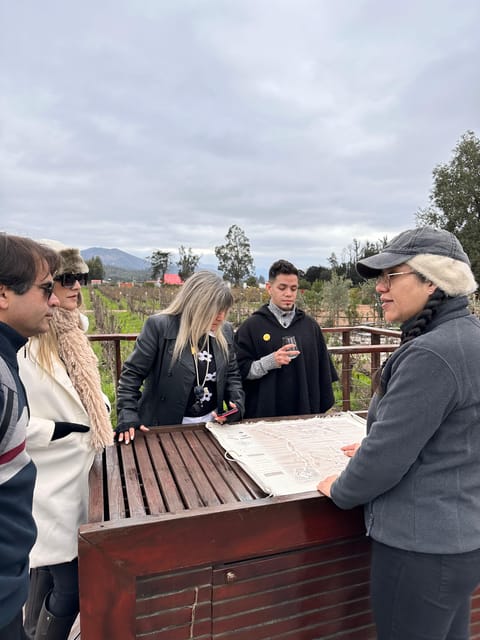 Santiago: Casa Del Bosque Winery With Tasting and Lunch - Tanino Restaurant and Meal