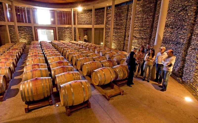 Santiago: Casablanca Valley Wine Tour With Lunch - Culinary Experience