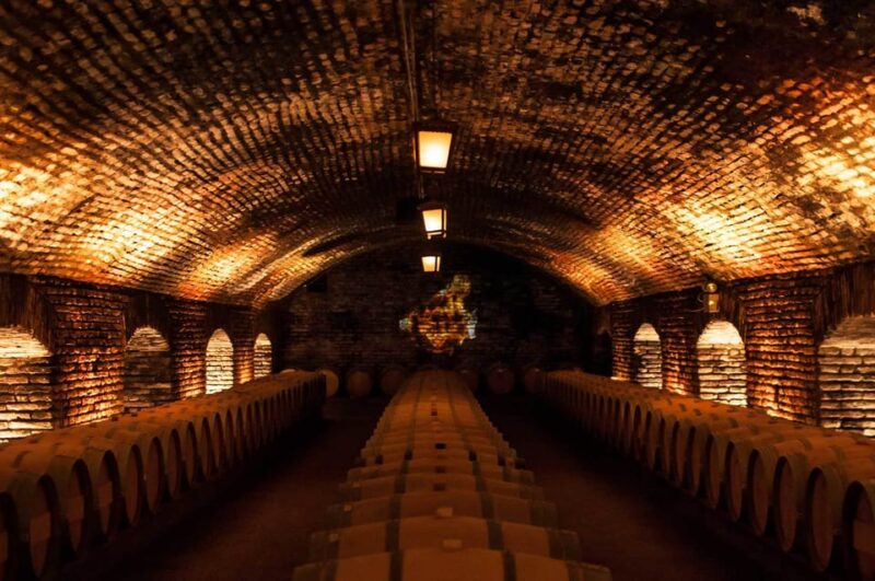 Santiago: Concha Y Toro and Undurraga Vineyards Tour - Vineyard Visits