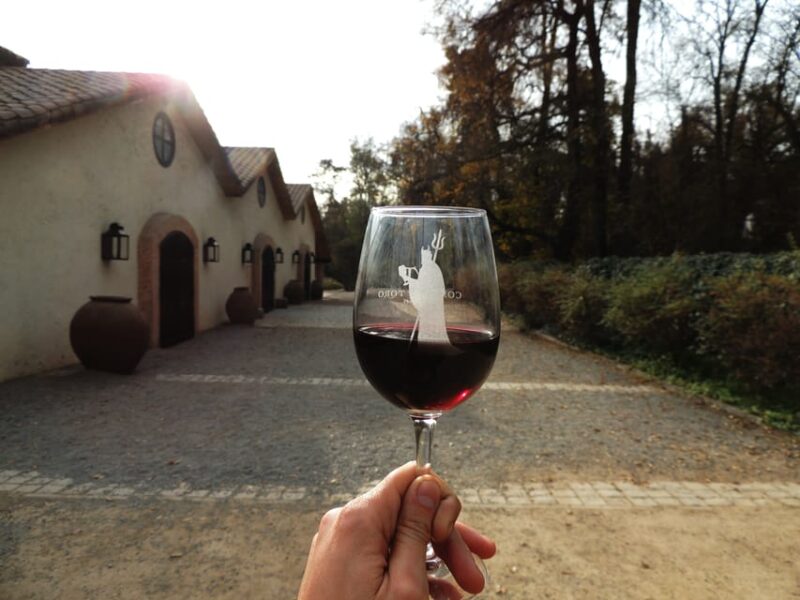 Santiago: Concha Y Toro and Undurraga Vineyards Tour - Itinerary and Experience