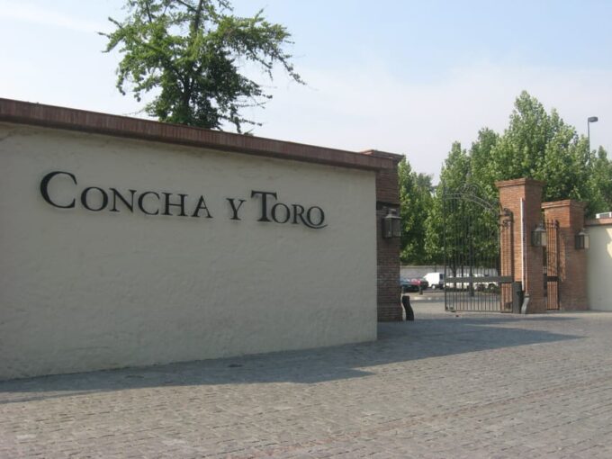 Santiago: Concha Y Toro and Undurraga Vineyards Tour - Maipo Valley Wineries