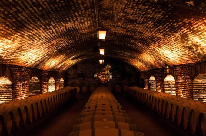 Santiago: Concha Y Toro and Undurraga Vineyards Tour - Wine Tastings and Tours
