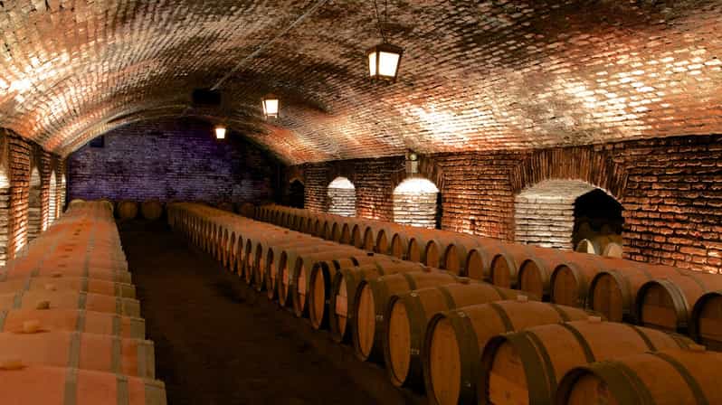 Santiago: Concha Y Toro Vineyard Tour With Transfer & Tasting - Experience Highlights