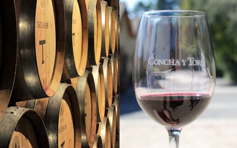 Santiago: Concha Y Toro Vineyard Tour With Transfer & Tasting - Customer Reviews and Feedback