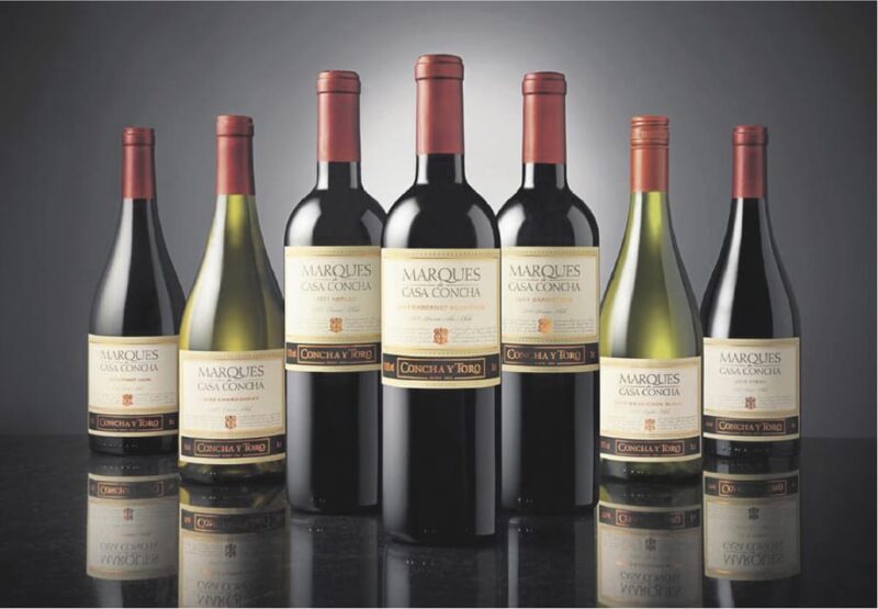 Santiago: Concha Y Toro Winery 4-Hour Tour & Sommelier Class - Tour Logistics