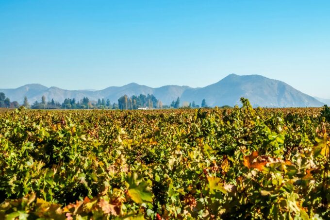 Santiago: Concha Y Toro Winery 4-Hour Tour & Sommelier Class - Frequently Asked Questions