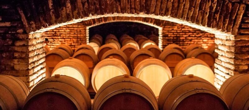 Santiago: Concha Y Toro Winery 4-Hour Tour & Sommelier Class - Important Information