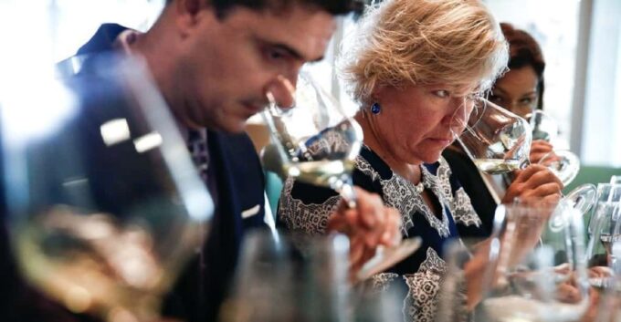 Santiago: Concha Y Toro Winery 4-Hour Tour & Sommelier Class - Old Pirque Vineyard