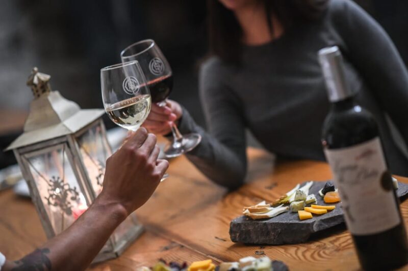 Santiago: Cousiño Macul Official Winery Tour With Tasting - Tour Highlights