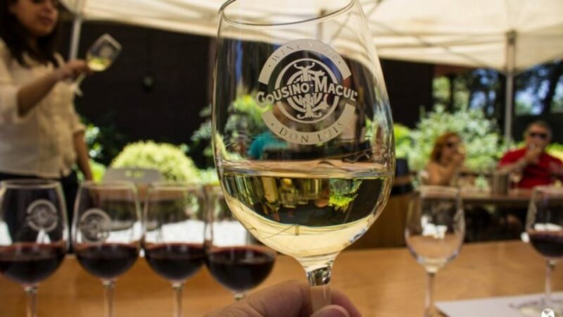 Santiago: Cousiño Macul Official Winery Tour With Tasting - Inclusions and Amenities