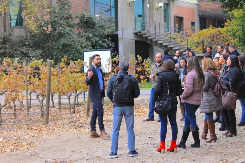 Santiago: Cousiño Macul Official Winery Tour With Tasting - Customer Feedback and Ratings