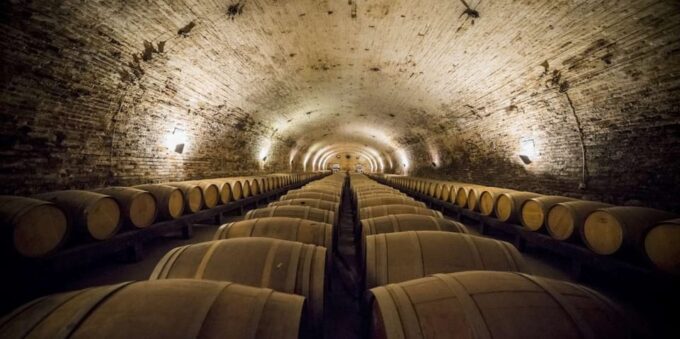 Santiago: Cousiño Macul Official Winery Tour With Tasting - Accessibility and Cancellation Policy