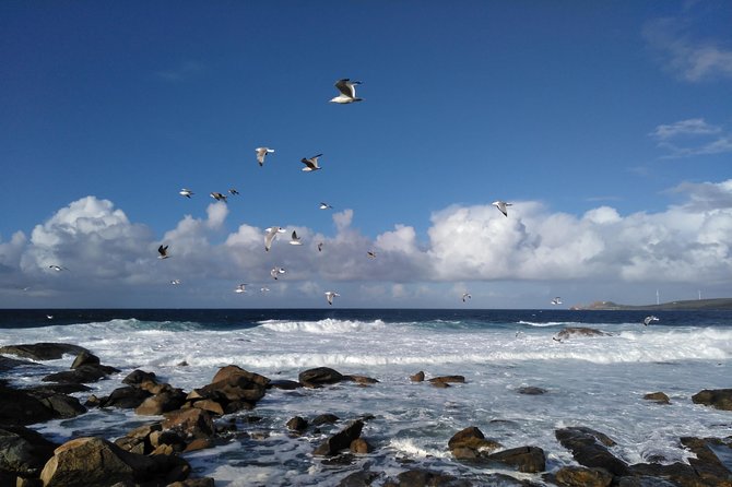 Santiago De Compostela: Finisterre, Muxía & Costa Da Morte - Muxía: Coastal Charm