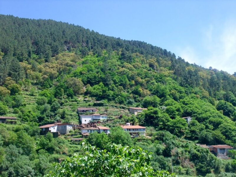 Santiago De Compostela: Galicia & the Ribeira Sacra Day Trip - Souto Chao Viewpoint