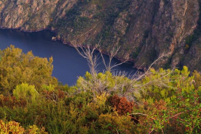 Santiago De Compostela: Galicia & the Ribeira Sacra Day Trip - Frequently Asked Questions