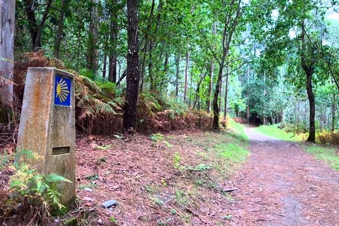 Santiago De Compostela Private SHORE Tour & CAMINO - Additional Details