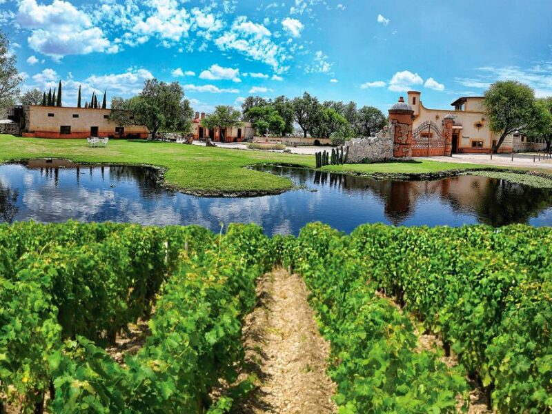 Santiago De Querétaro: Magical Towns Cheese and Wine Route - Included Experiences
