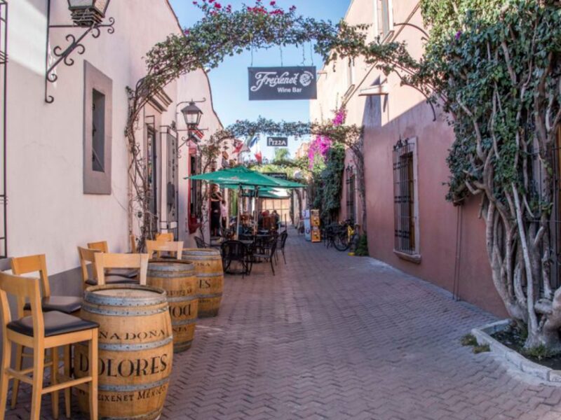 Santiago De Querétaro: Magical Towns Cheese and Wine Route - Customer Feedback