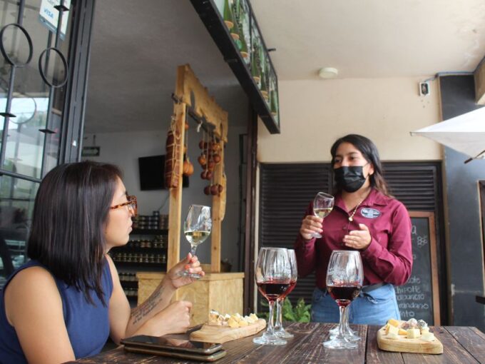 Santiago De Querétaro: Magical Towns Cheese and Wine Route - Vineyard Tour and Tasting