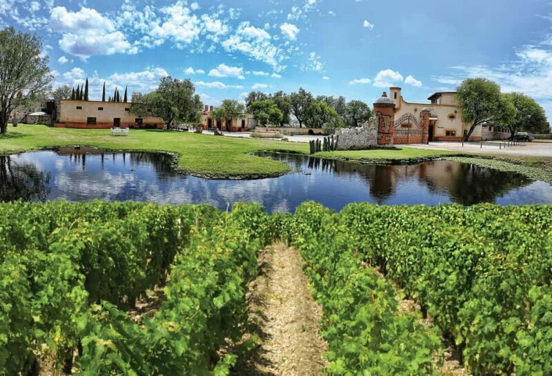Santiago de Querétaro: Pueblos Mágicos Cheese and Wine Route - An In-Depth Look at the Tour Experience