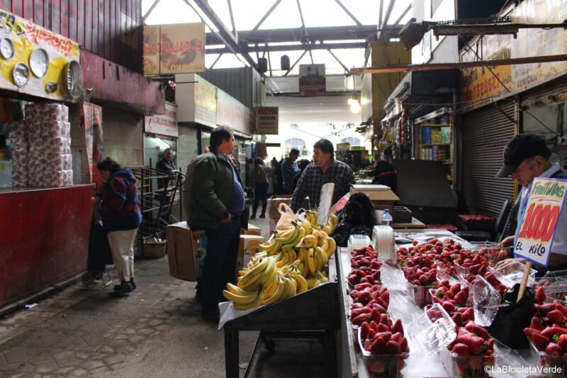 Santiago: Full-Day Bike Sightseeing Tour - Explore Trendy Bellavista