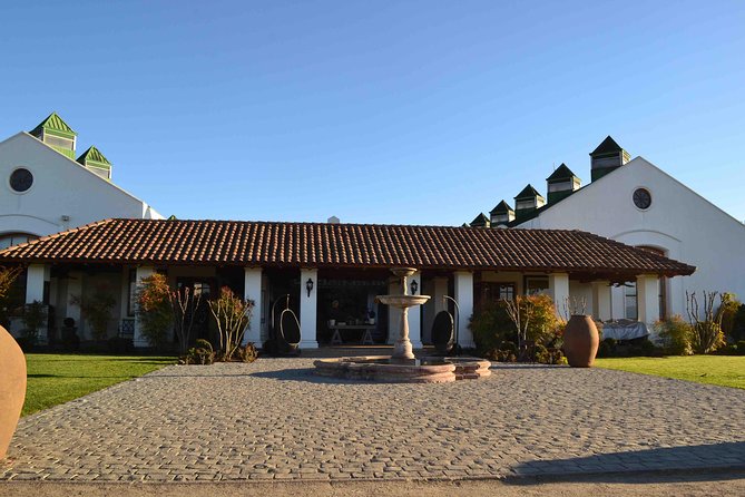 Santiago Full Day Tour to Casablanca Valley, Include Entraces for 2 Vineyard. - Customer Reviews and Ratings